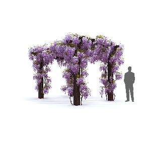 Wisteria Pergola 3D
